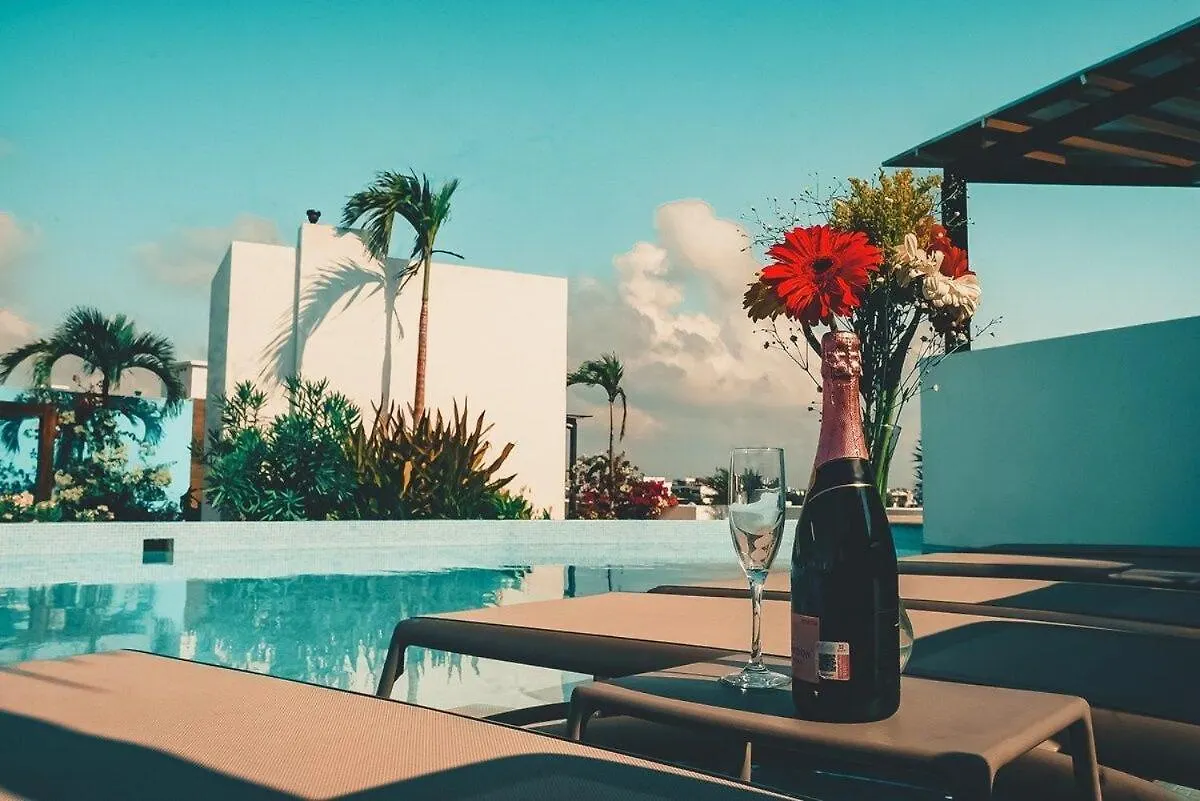 The Gallery In The Heart Of Playa Del Carmen contacts